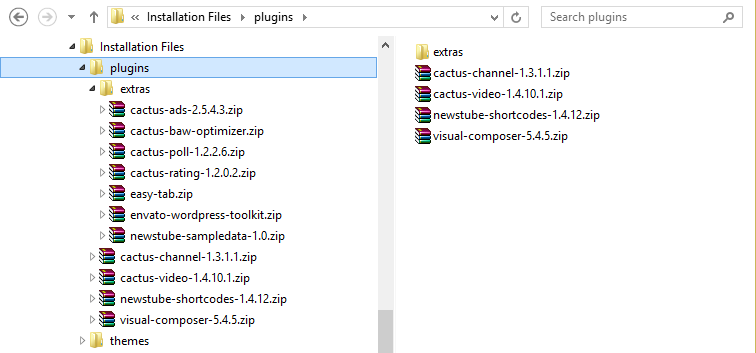 NewsTube-Installation-Plugins