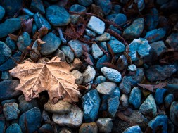 earth-nature