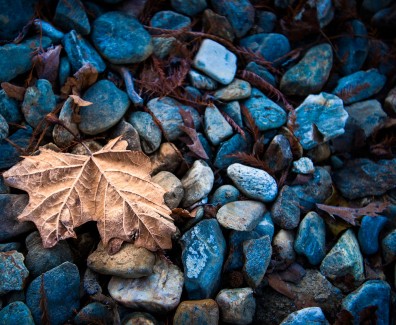earth-nature