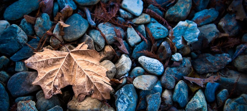 earth-nature